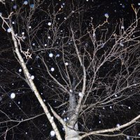 Ночь,берёза,вспышка,снег. :: Виталий Дарханов