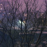 Снег, ветер, фонарь... :: Валентина Родина