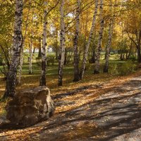 Осенний парк :: Геннадий Дмитриев