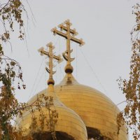 Купола Спасо-Преобр-аженского собора в Тольятти. :: Александр 