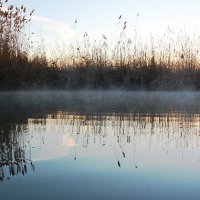 Сероводородный источник. :: Елена Primavera