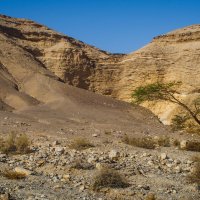Негев. Пустыня в Израиле. :: Edik Kaverin