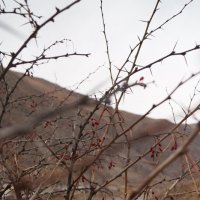осень в горах :: валентин яблонский
