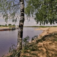 На реке :: Наталья Гжельская