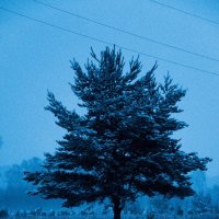 Зима :: Евгений Фомин