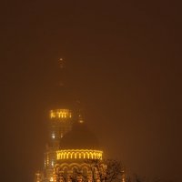 В тумане :: Дарья 