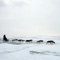 озеро Байкал :: Валера 