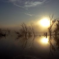 рассвет на озере :: Лариса Б