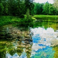 В Парке Гатчины. :: Александр Лейкум