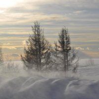 Зима :: Mika Meier