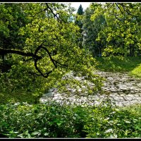 Есть в старом Парке пруд... :: Александр Лейкум