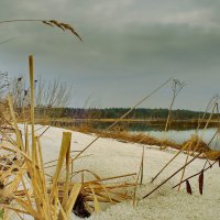 Когда зима не хочет уходить.... :: Александр | Матвей БЕЛЫЙ