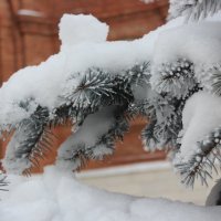 Зима..) :: Надежда Пономарева (Молчанова)