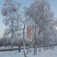 Заснеженный Кировск. :: Марина Николаева