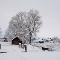 Зима :: Викка Шкунова