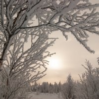 Зима :: Наталья Филипсен