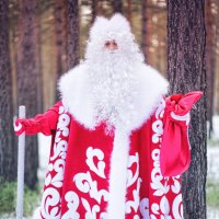 Дед Мороз и Снегурочка. :: Татьяна Гекман