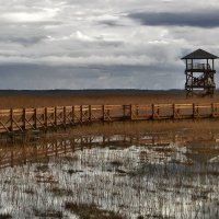 Смотровая вышка на Лиепайском озере (2) :: Сергей Садовничий