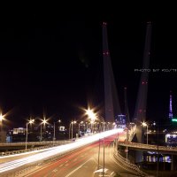 Владивосток. Мост через бухту "Золотой Рог" :: Оля 