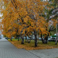 Омская осень. :: Дмитрий Климов