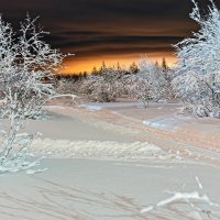 Вечерний зимний лес :: Яна К