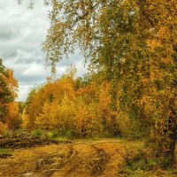 Дорогами осени :: Олег Сонин