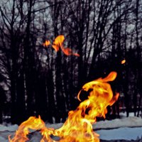 магия пламени, или огненные змеи :: Vladislav Rogalev