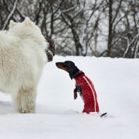 Эва :: сергей 