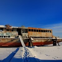 Ноев Ковчег :: Александр | Матвей БЕЛЫЙ