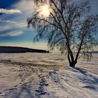 Холодный полдень Ангары :: Александр | Матвей БЕЛЫЙ