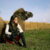 Фэшн с верблюдами :: Alsu Salachova