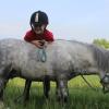 Для детей и лошадки поменьше :: Александра Карпушкина