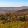 forest and plains :: Vorel Moldovanu