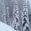 Зима :: Weskym Markova