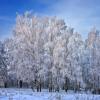 А в Москве - зима :: Андрей Левин