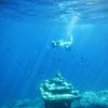 Подводный мир.Бали :: Творческая группа КИВИ