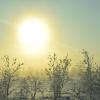 Солнце и туман :: Артём Глушко