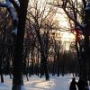 красивая зима :: Sergey Yarilin