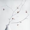snails & thorns :: Наталья Голубева