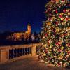 Christmas lights :: Alena Kramarenko