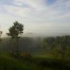Утро с туманом :: Torvald Frey