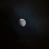 Луна :: Катерина Шалеева (Reineke_Fox)