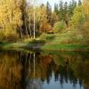 Осенний пруд............ :: Юрий Цыплятников
