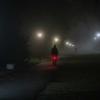Прогулка в тумане по ночному парку :: Константин Бобинский