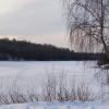 Ранняя зима на Смоленщине. :: Милешкин Владимир Алексеевич 