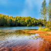 озеро, Бокситогорск :: Laryan1 