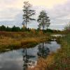 Осенний пейзаж у реки :: Нэля Лысенко