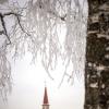 Приоратский дворец в снежном узоре :: Анастасия Белякова