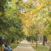 Осень в парке на бульваре Ленина :: Валентин Семчишин