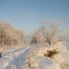 Зима :: Anna Ivanova